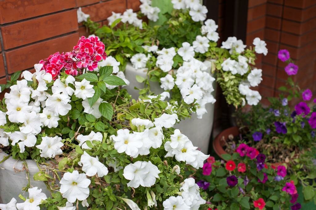 Гостиница Энергия Батайск-26