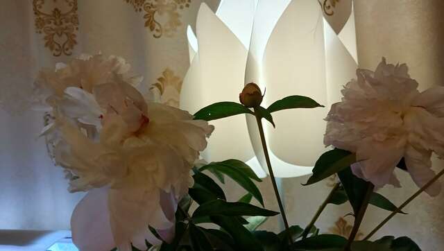 Гостиница Энергия Батайск-36